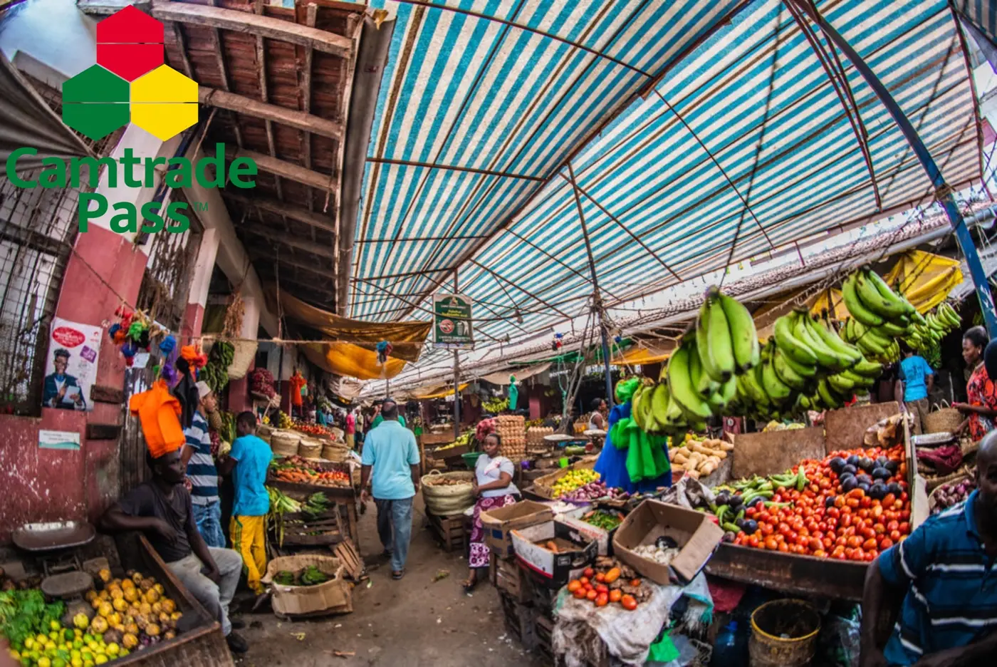 Allée d’un marché couvert : régimes de bananes, tomates et agrumes sur les étals.