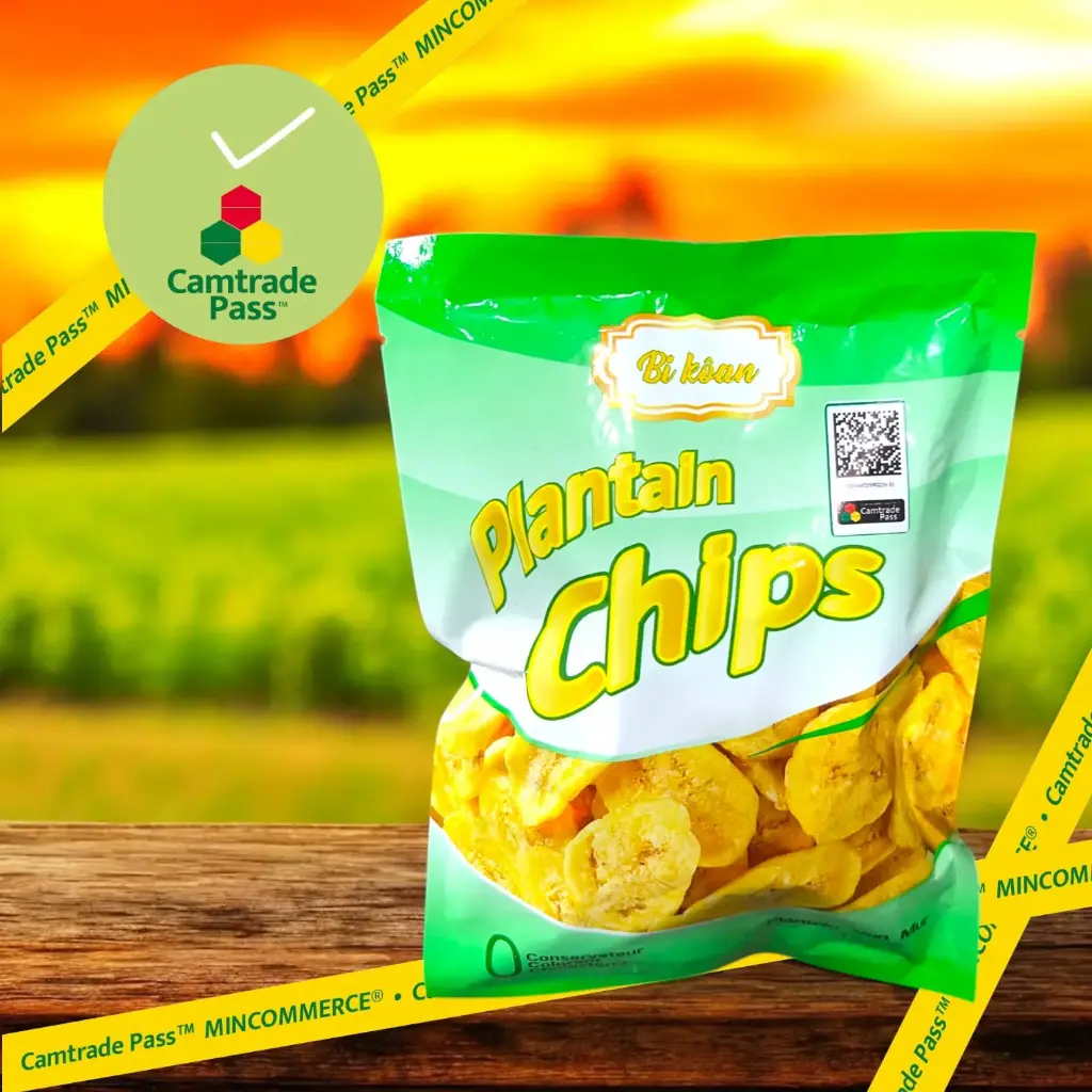 [Bikoan5] Plantain chips