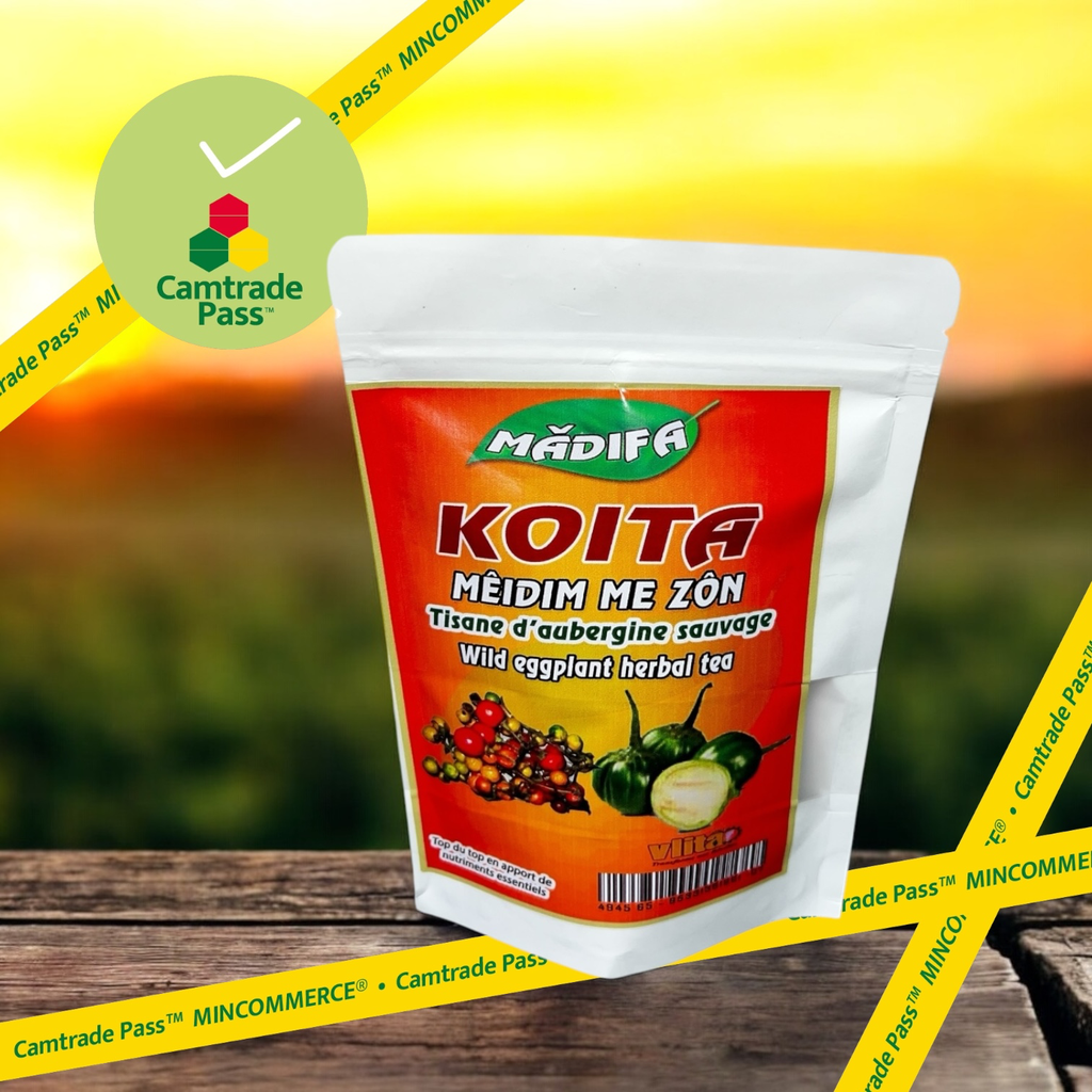 Madifa Koita (petite aubergine)